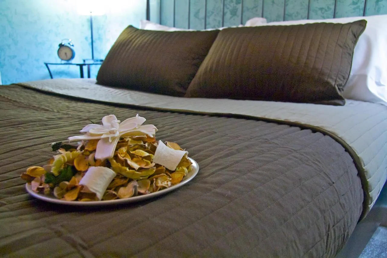 Slow Life B&B Bed & Breakfast Rome